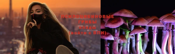 дмт Алзамай