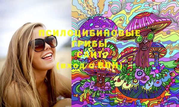 дмт Алзамай
