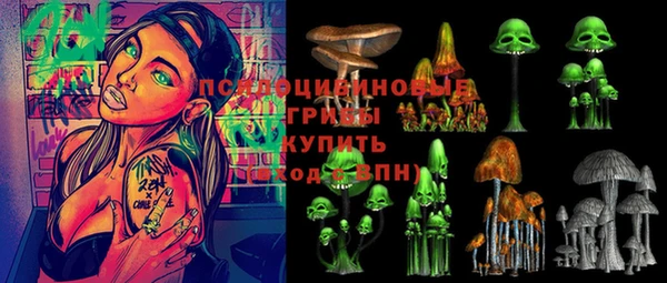 индика Алексеевка