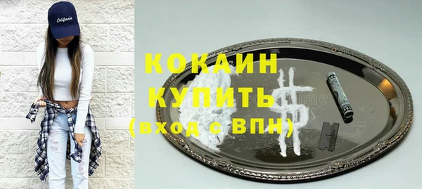 индика Алексеевка